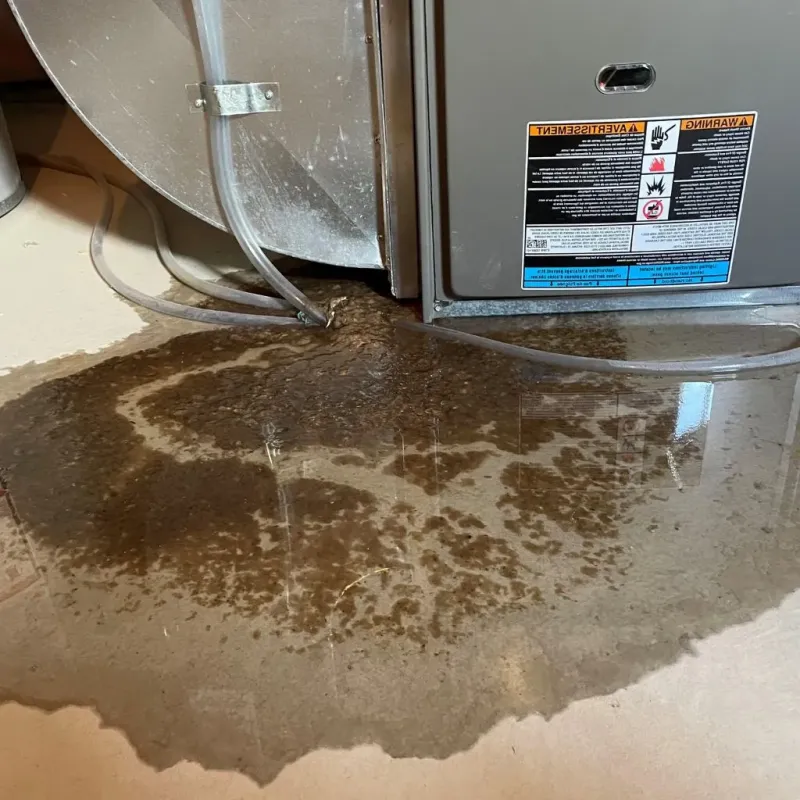 Pipe Burst and Leak Restoration in Powell County, KY