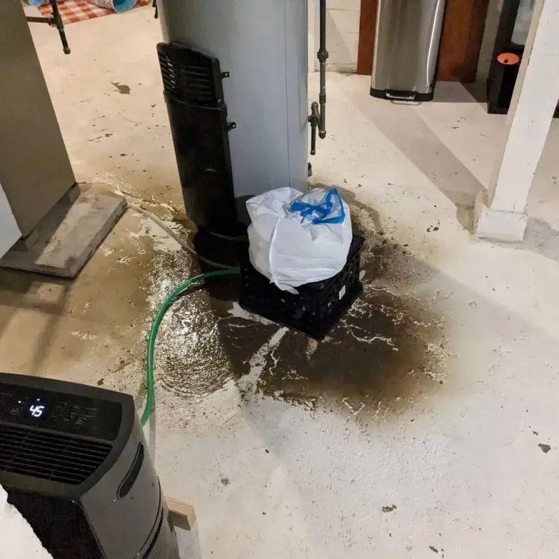 Sewage Backup Cleanup Service in Powell County, KY